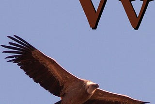 Children’s alphabet-style poster of “V is for Vulture,” a symbol of ICE
