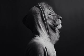 Person in a hoodie with a lion’s face.