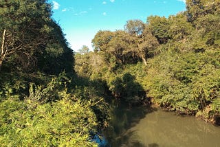 Rio das Pedras, em Guarapuava, há poucos metros do ponto de captação da Sanepar. Essa água abastece a população do município. Foto: Cléber Moletta/Rádio Cultura Fm Guarapuava.