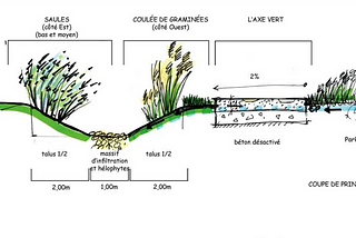 Social drivers for nature-based solutions: The case of Longvic’s eco-neighborhood in France