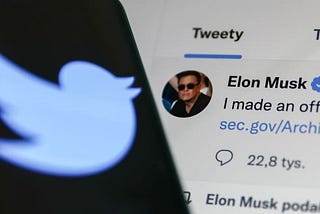 Elon Musk & Twitter: la bolla dei profili dei social media