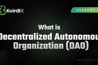 What is a decentralized Autonomous Organization (DAO)?