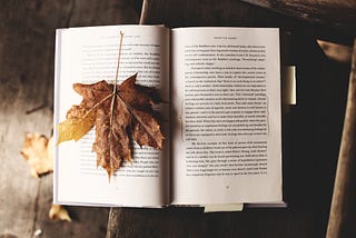 Photo of an open book with an autumnal leaf laying on one of the pages.