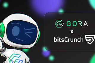 Gora Network Joins the bitsCrunch Ecosystem Grant Program to Power the Future of Web3 Data