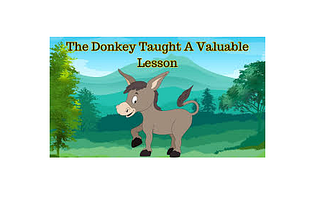 LESSONS FROM A DONKEY