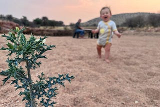 Exciting Adventures While Walking Barefoot Between Critters in the Desert Sand