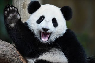 Ketika Python bertemu Pandas — #Part 1