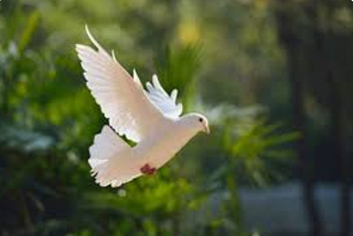 Take Flight, now it's your turn