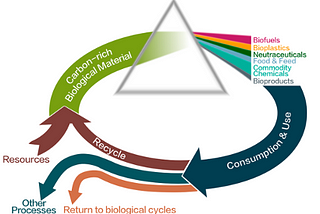 An Introduction to Circular Bioeconomy