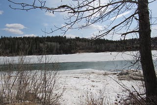 Snow on a riverbank with a bare tree in the foreground.