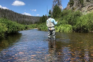 Top 5 Local Fly Shops In Northern Colorado