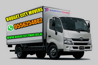 Professional Movers and Packers in Abu Dhabi: