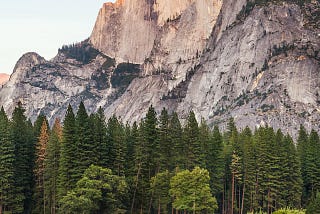 Two deer grazing, the forest and granite dolomite in the background at the Yosemite Valley.