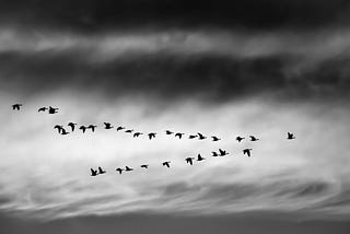 Codifying an important Leadership trait