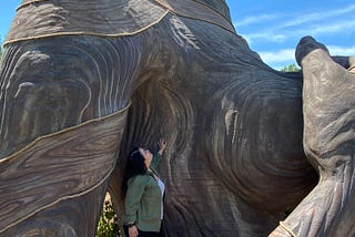 Author standing in front of a large sculpture at the arboretum.