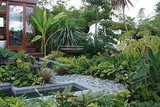 How to Create a Jungle Paradise in Your Garden