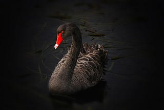 SERVIDORES PÚBLICOS PRECISAM SE PREPARAR PARA OS ‘CISNES NEGROS’