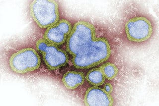 The Struggle & Race to Develop a Universal Influenza Vaccine