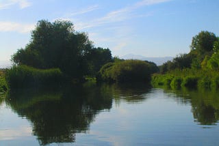 A still river bordered by trees and shrubs with water reflecting a blue sky and wispy clouds.