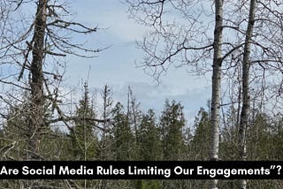 I was thinking about social media rules along my morning walk.