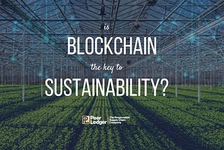 Is Blockchain the Key to Sustainability?