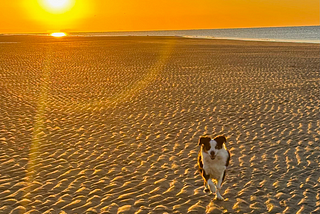 What I’ve Learned Living Off-Grid on a Mexican Beach