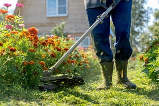 The Weed Whacker (What Everybody Knows)