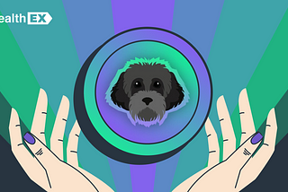 Myro Coin: Dog-Themed Coin from Solana