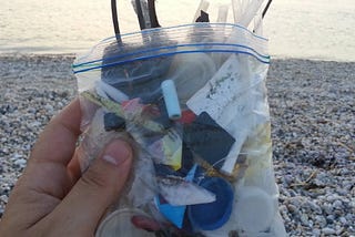 Why Beach Cleaning Does(n’t) Matter