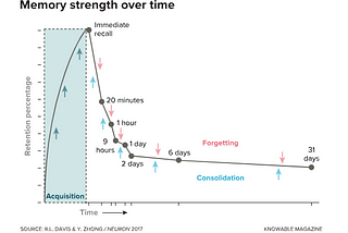 Source: https://www.discovermagazine.com/mind/why-do-we-forget-things-it-may-make-the-mind-more-efficient