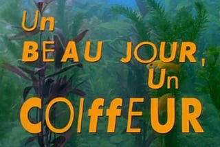 “Un Beau Jour, Un Coiffeur” in yellow block letters, fish tank plants in background