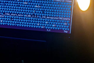 Image of a computer with compiled language in a text editor