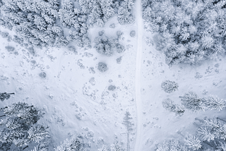 overhead view of a forest covered in snow, in greyscale, a white path of snow can be seen through the middle of the trees