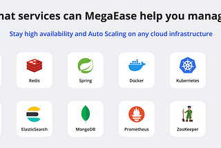 MegaEase Cloud 2023.03 Significant Update