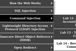 Mutillidae — Lab 14 — Reverse Bash Shell with Command Injection