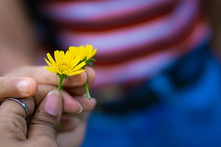 The Beautiful Kindness of Strangers