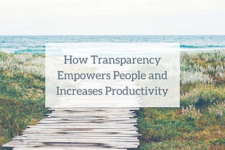 How Transparency Empowers People and Increases Productivity