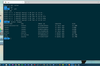 Running Ubuntu on Windows 10 with WSL2