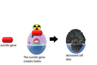 Gene therapy, a new hope.