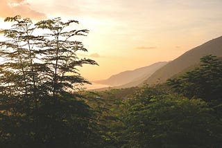 The Untold Story of the Haitian Revolution