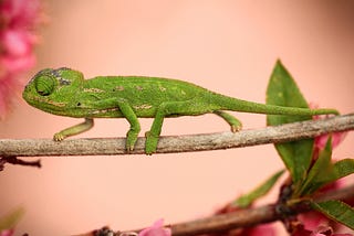 Boxist Photography: Two Decades of Exclusive Imagery by Sam Mugraby