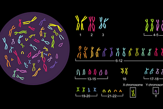 Changing “the Average Human has 46 Chromosomes” to “ALL Humans”