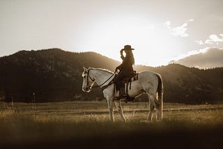 5 Reasons Why Everyone Should Try Horseback Riding