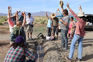 The Ripple team celebrates with their arms up in the air as the irrigation water makes its way to the final newly-planted willow tree. Shouting and hats in the air!
