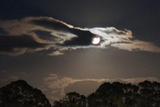 My photo of the full Beaver Moon in winter wisp, o’er eucalyptus from my patio the other night.