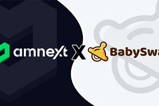 Partnership Whit BabySwap!