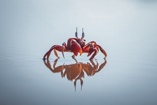 Karka Lagna (Cancer Ascendant): The Sensitive and Perceptive Crab
