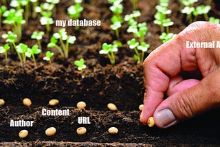 Seeding a Rails backend with an external API.