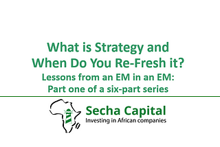 Lessons from an EM in an EM (emerging fund manager in an emerging market): What is strategy and…