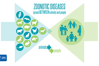 The Silent Threat: Zoonotic Diseases and the Frontline Healthcare Worker